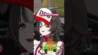 What do dogs do in the car?!