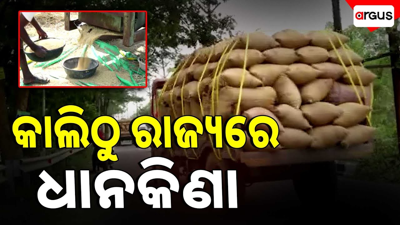 🔴Big Breaking Live | କାଲିଠୁ ଧାନକିଣା ଆରମ୍ଭ | Odisha | Argus News