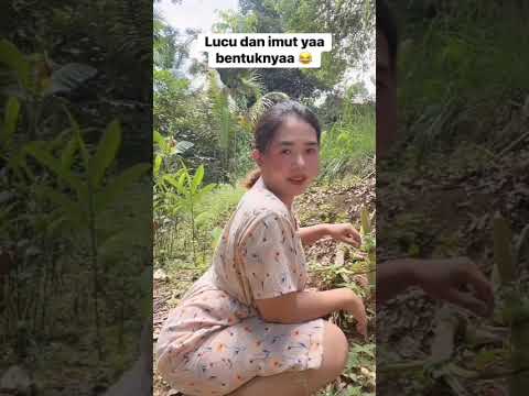 #gadisdesa #shortsfeed #shorts #viral #cute #waterfall #humor #outfit #funny #comedy #vlog