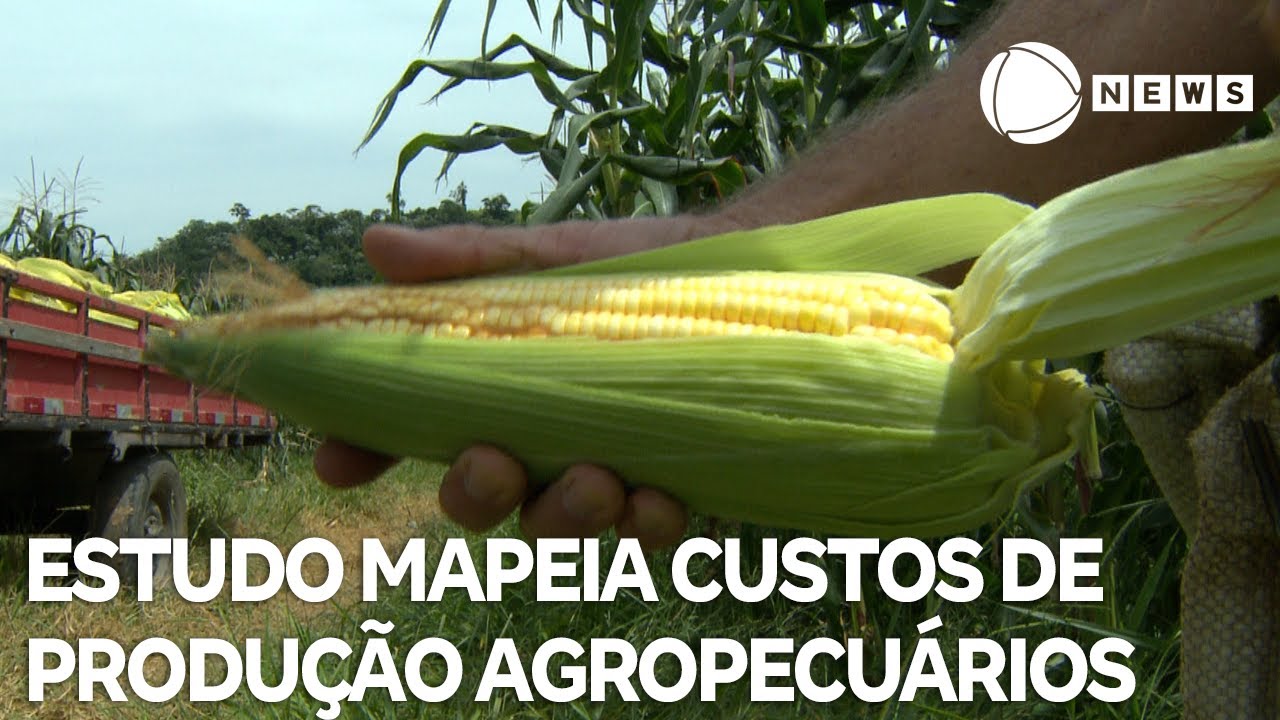 Estudo mapeia custos de produção agropecuários