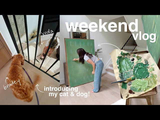 a weekend of crafting & self care (+ introducing my cat to my dog!)