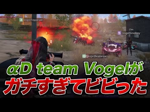 【荒野行動】αD team『Vogel』 がガチすぎてビビった。。。