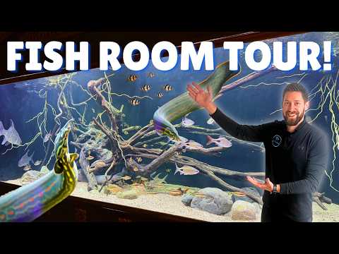 570 Gallon Aquarium & RARE FISH You’ve NEVER See Step inside one of the most incredible private fish rooms we've ever seen! This exclusive tour featu