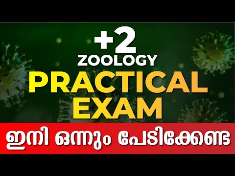 PLUS TWO ZOOLOGY LAB EXAM | PLUS TWO PRACTICAL EXAMS | EXAM WINNER