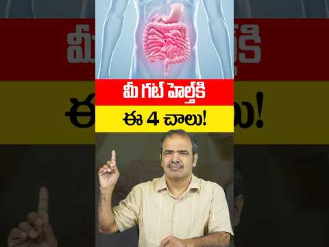 | 4 <strong>Foods</strong> for Better Gut Health &amp; Digestion | Vardhan Ayurveda