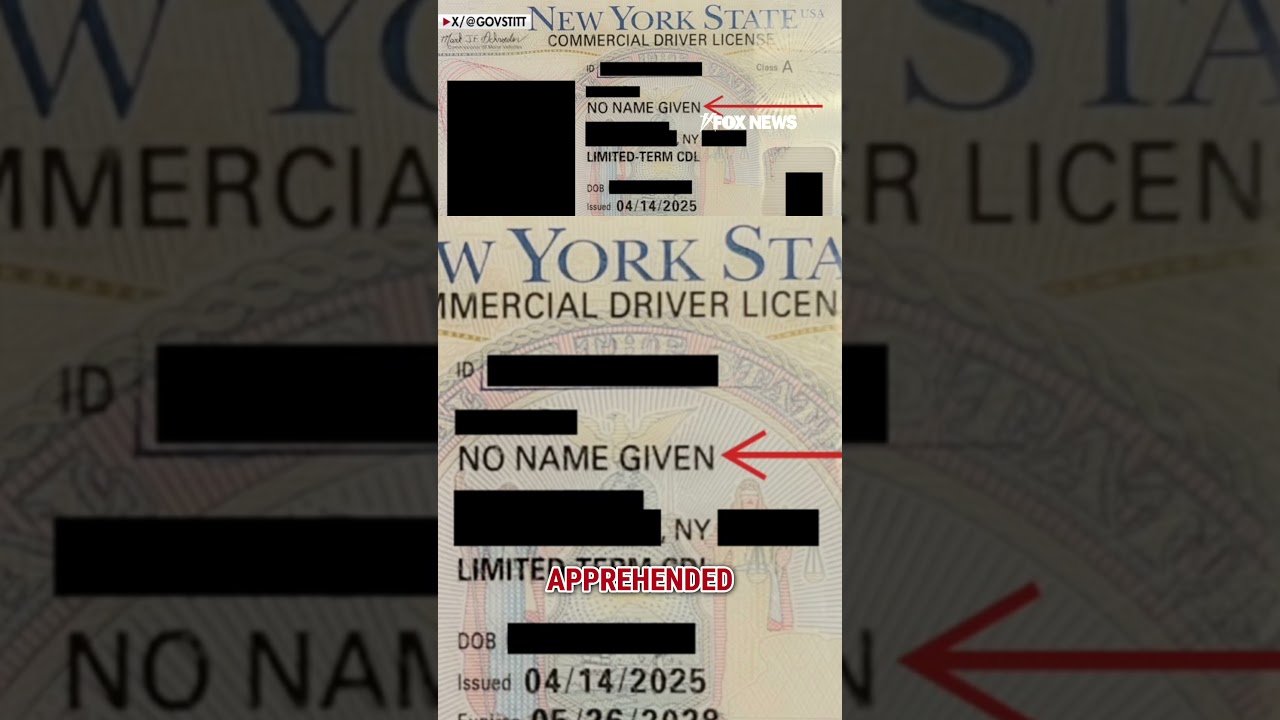 Illegal migrant apprehended with SHOCKING words on NY driver's license