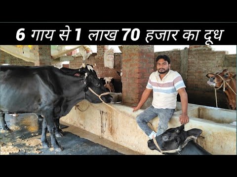 दोनों पैरों से लाचार होने के बावजूद कमा रहे अच्छा पैसे | Dairy Farming In Bihar
