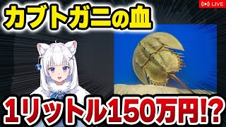 【獣医が解説】カブトガニの血液、1ℓ150万円で取引される!? カブトガニのひみつ【北国ここなの動物研究室】