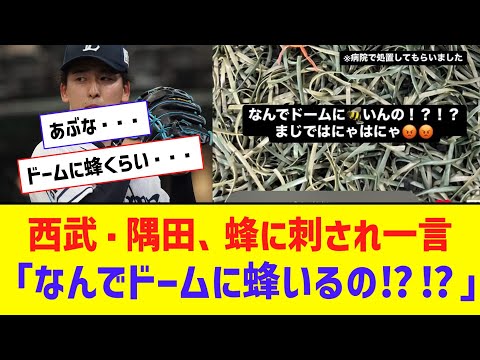 【悲報】 隅田知一郎さん、スズメバチに刺される「なんでドームにいんの！？！？」【なんJ反応】