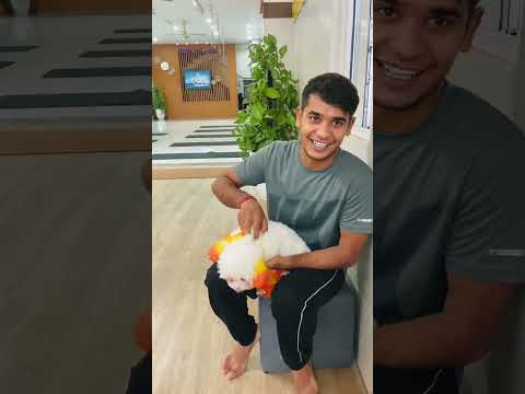 Vietnam 🇻🇳 ka dog 🐕 dekho aaj