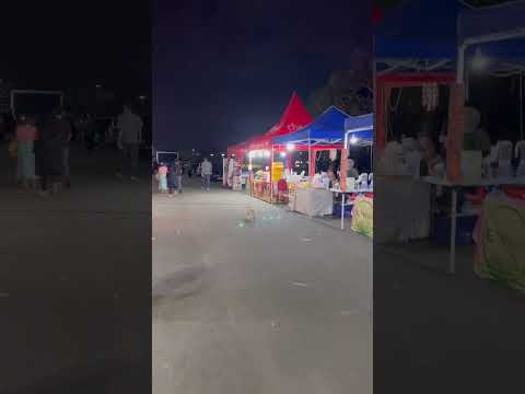 Kucing Bapao Jalan Jalan Sendiri Di Pasar Malam #cat #nizamkucinglucu #coversong #貓咪日常 #funny #貓