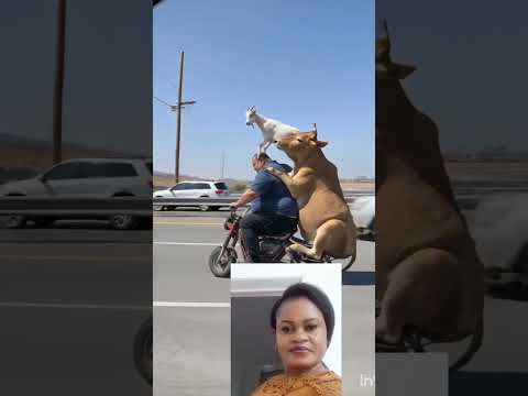 Incredible 😂😂 #funnyskit #shorts