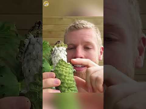 সবচেয়ে বেশি সুস্বাদু ফল