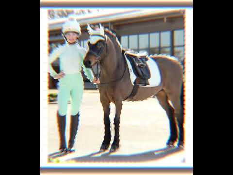 Harlow and Rolo! I love him #horse #equestrianjourney #equestrianriding #equestrian