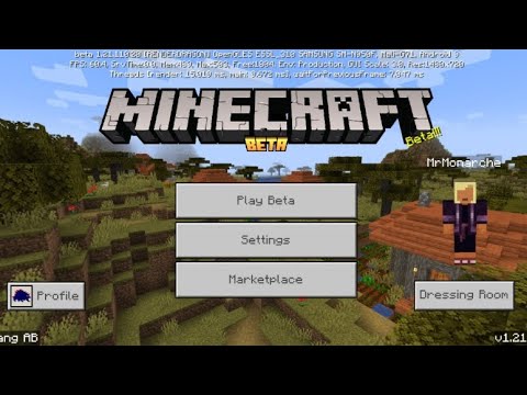 Minecraft beta Mobile game / Send me your Game tag And play with me
