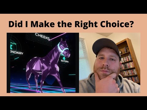 How to Pick Your First CHEAP Zed Run Race Horse