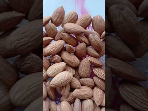 walnut nd almond ✨️ || #garden #terrace #trending #shorts #fyp #plants #vegetables