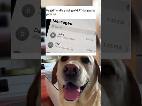 #memes #story #dog #shorts #pets