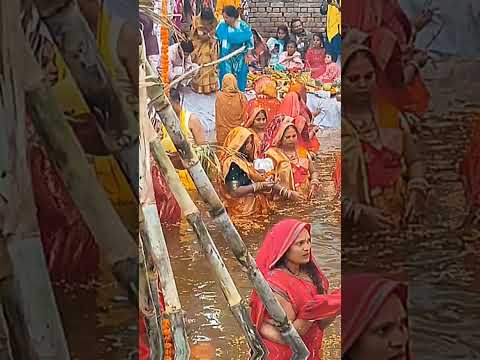 chatt puja special status #chattpuja #hindufestival #status #trendingshorts #puja please like