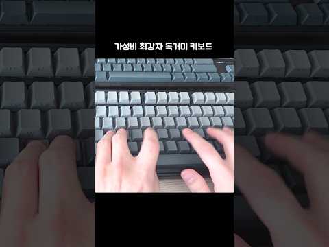 현재 가성비 1티어 키보드