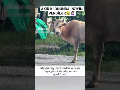 abone olağ dostlar ❤️🥹#trend#short#globalviral #kesfeteyyiz#youtubeshorts#funny#trendingvideo