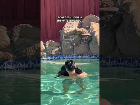 Harlow girl didn’t like the pool … #dogsoftiktok #doghumor