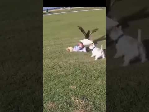 Entertainment giải trí và du lịch