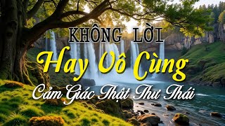 Nhạc Không Lời Xưa Hay Vô Cùng, Hòa Tấu Guitar Saxophone Đem Lại Cảm Giác Thật Thư Thái