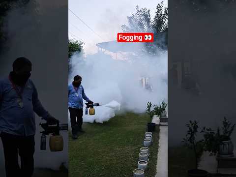 👀fogging in company 👀#gurugram #funny #tranding short video#bihar