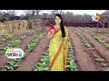వ్యవసాయంలో బిందు సేద్యం ప్రాముఖ్యత | Benefit with Drip Irrigation in Crop Cultivation | 10TV  - 09:06 min - News - Video