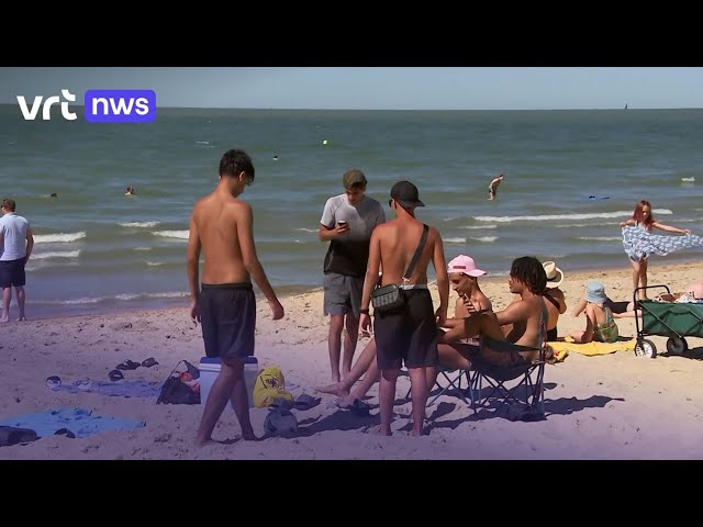 Knokse politie krijgt hulp uit Frankrijk: hoe reageren Franse jongeren op het strand daarop?