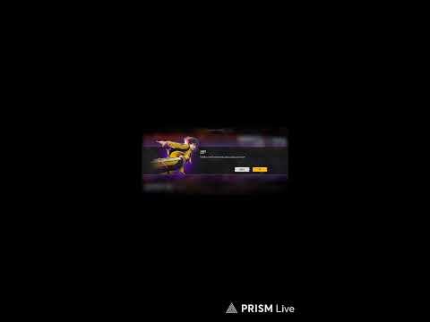 Live streaming of The Crazy Panda