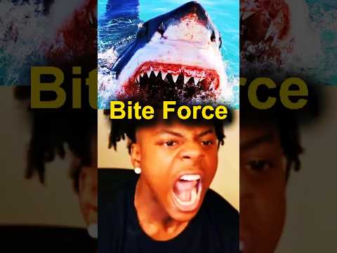 Strongest Bite Force in Sea Animals!