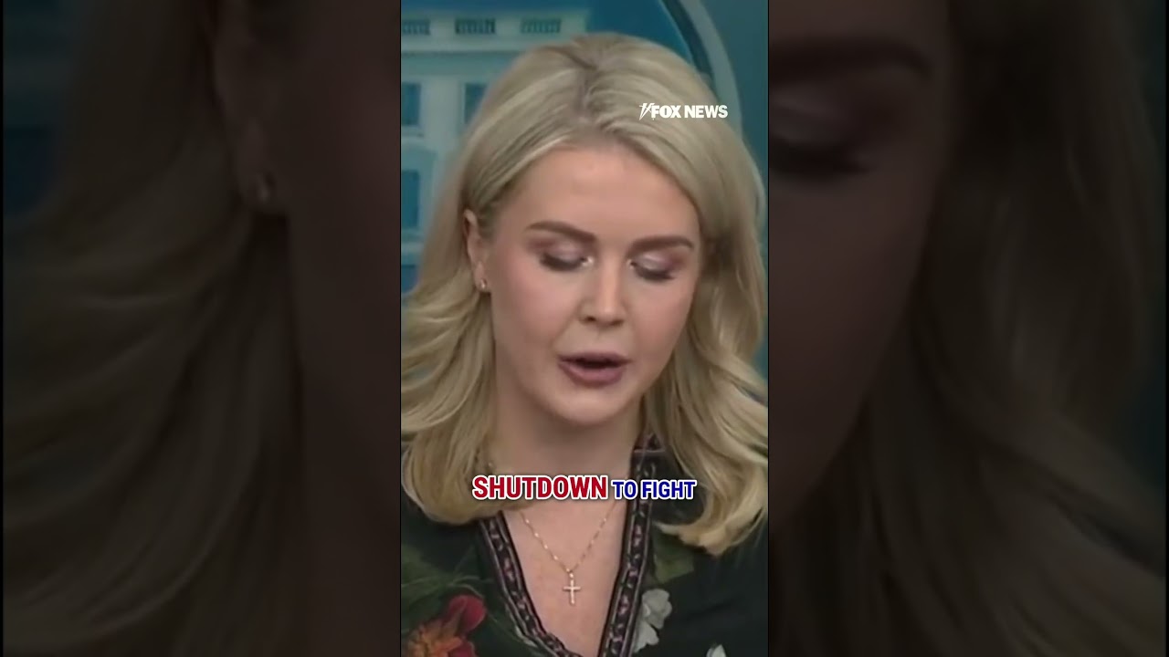 Leavitt: This is a TOTAL DISGRACE! #shorts #trump #politics #usnews