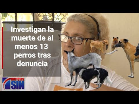 Investigan matanza de perros en la Ciudad Ganadera