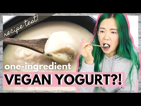 ONE INGREDIENT VEGAN YOGURT.... Does It Work"! (Cook With Me)