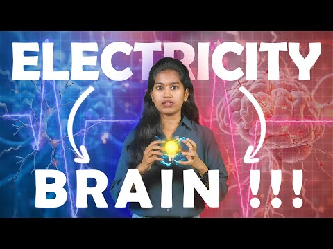 Electricity in Brain | Actionpotential #chittitamil #neuronfunction