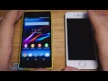 iPhone 5S vs Xperia Z1 Compact: обзор-сравнение [Mobiltelefon.ru]