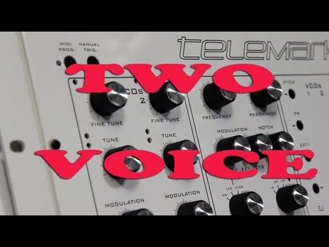 Analogue Solutions:  Telemark, Leipzig-s, Vostok Deluxe Two Voice Chip Upgrade!