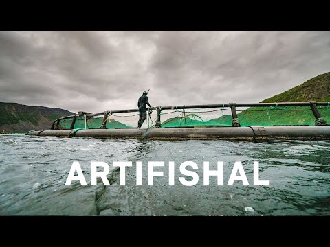 Artifishal'