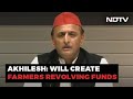 MSP For All Crops, Says Akhilesh Yadav In Poll Promise To Farmers