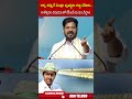 చిన్న తప్పుకే మొత్తం వ్యవస్థను  రద్దు చేసాడు..కాళేశ్వరం విషయం లో కేసీఆర్ ను ఏం చేద్దాం #cmrevanth  - 02:00 min - News - Video