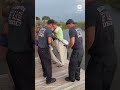 Dolphin stranded in shallow lagoon is rescued and released