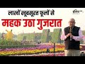 Ahmedabad Flower Show 2023: लाखों खूबसूरत फूलों से महक उठा Gujarat, देखें फूलों का मनमोहक Video