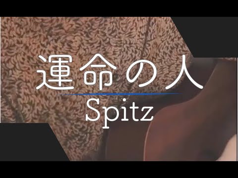 癒しボイスの 運命の人 / Spitz 弾き語り #Shorts