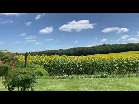 Vidéo de l’hébergement