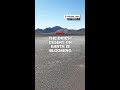 The driest desert on Earth is blooming