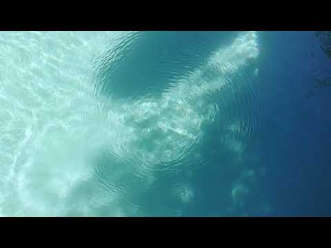 Video der Unterkunft