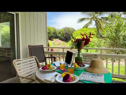Property video