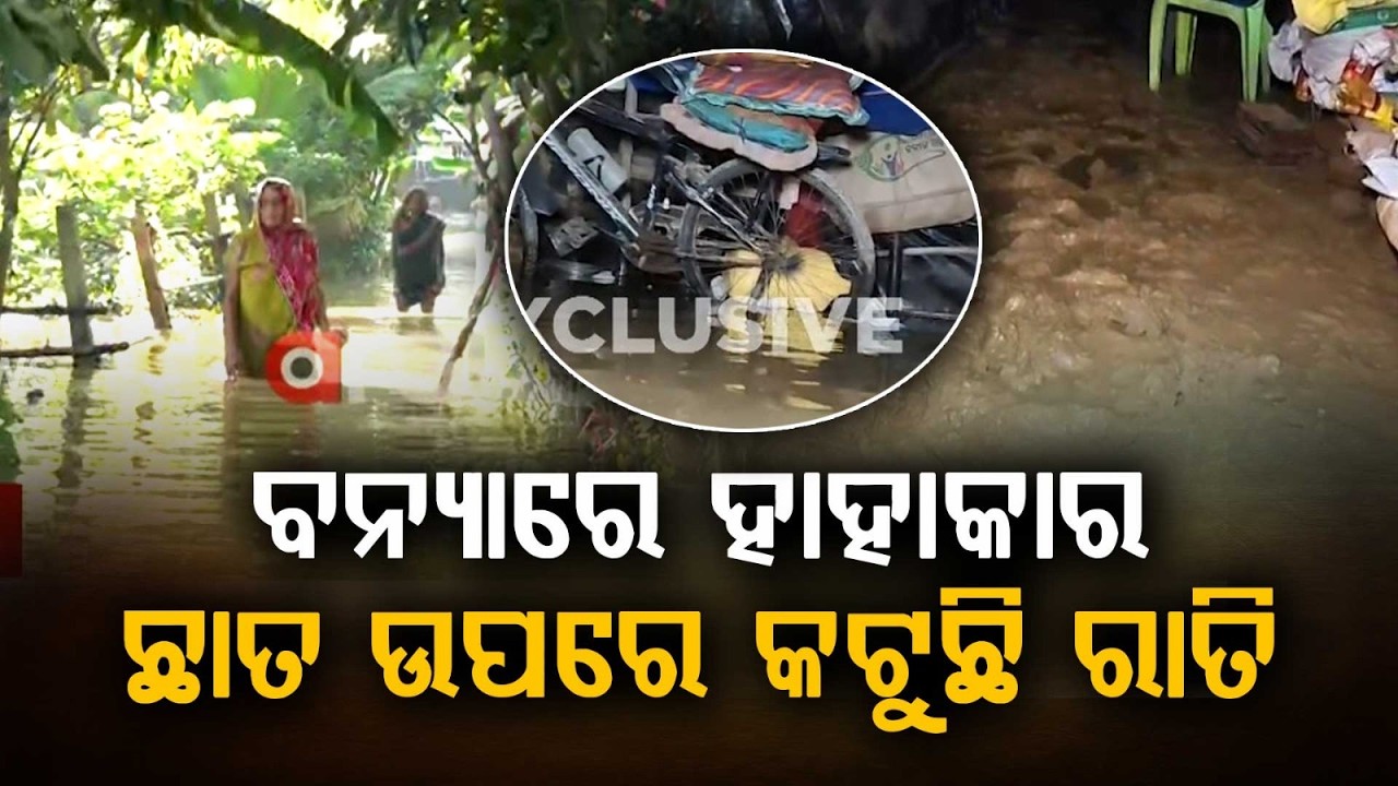 Subarnarekha River Flood Updates: Families Stranded On Roofs In Bishnupur, Balasore | Argus News